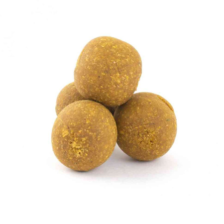 3701_3