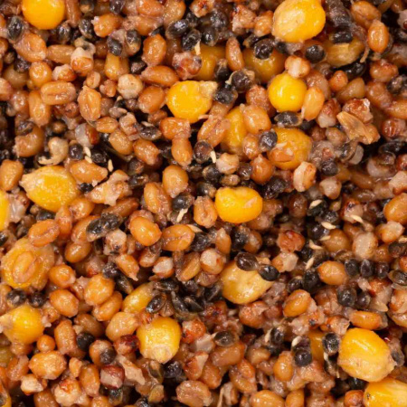 1905_2