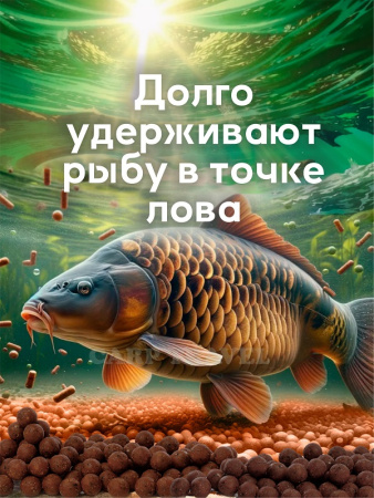 Бойлы тонущие GBS Baits Прикормочные Wild Plum 20мм 1 кг (Дикая Слива) 1