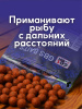 Бойлы тонущие GBS Baits Прикормочные Wild Plum 20мм 1 кг (Дикая Слива) 2