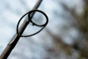 IMG_5745-300x200
