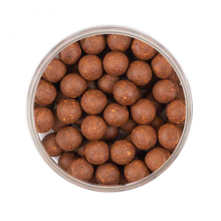 HB0009_1