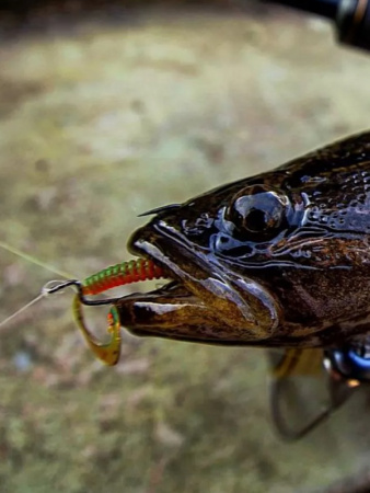Крючок офсетный  Рыболовная империя Fish_Emp OFFSET Size 2 0