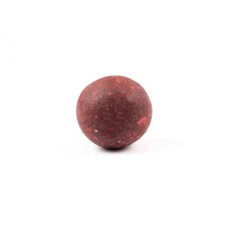 HB0007_2