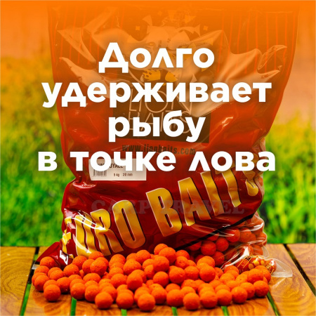 Бойлы тонущие Lion Baits  Euro Baits Plum Royale 20мм 5 кг (Королевская слива) 1