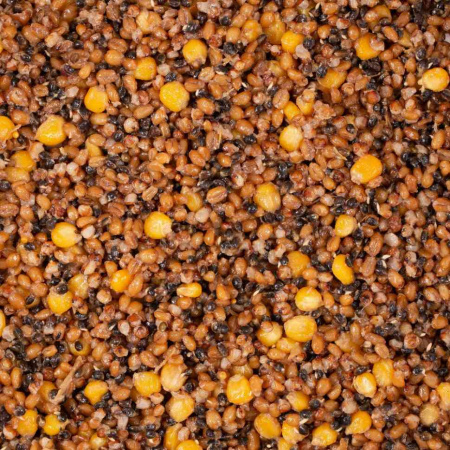 1903_3
